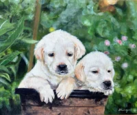 Curious Two