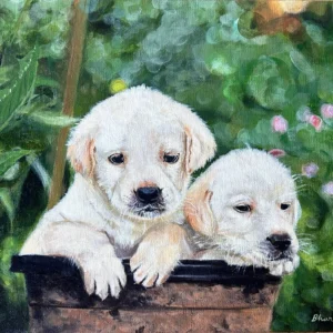 Curious Two